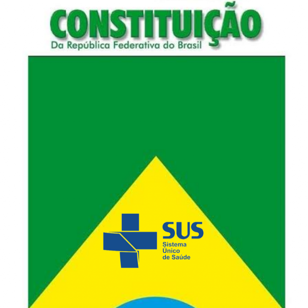 Resolucao Do Ces Mg E Contraria A Terceirizacao Do Sus Em Minas Gerais Ces Mg